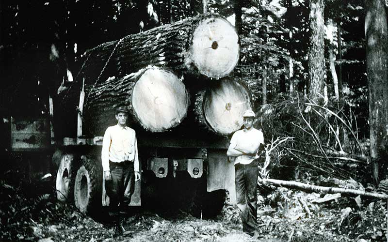 Old Photograph of Lumber Rafts